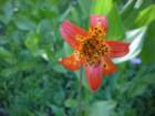 summertrip1568_small.jpg