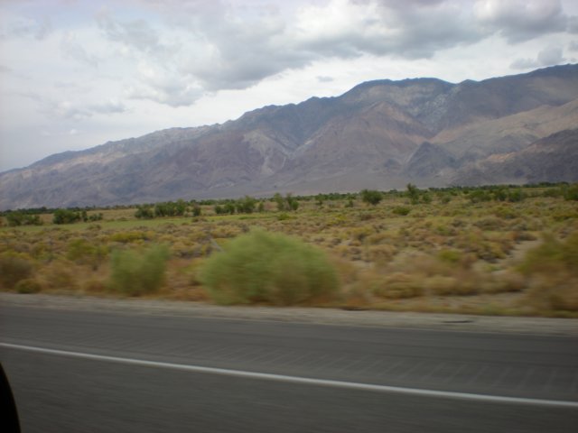 photo14.jpg