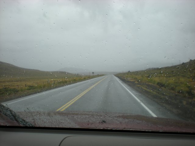 photo19.jpg