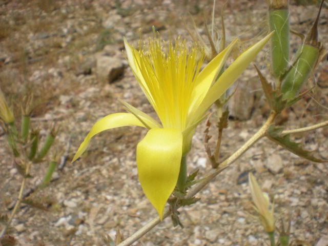 photo2.jpg