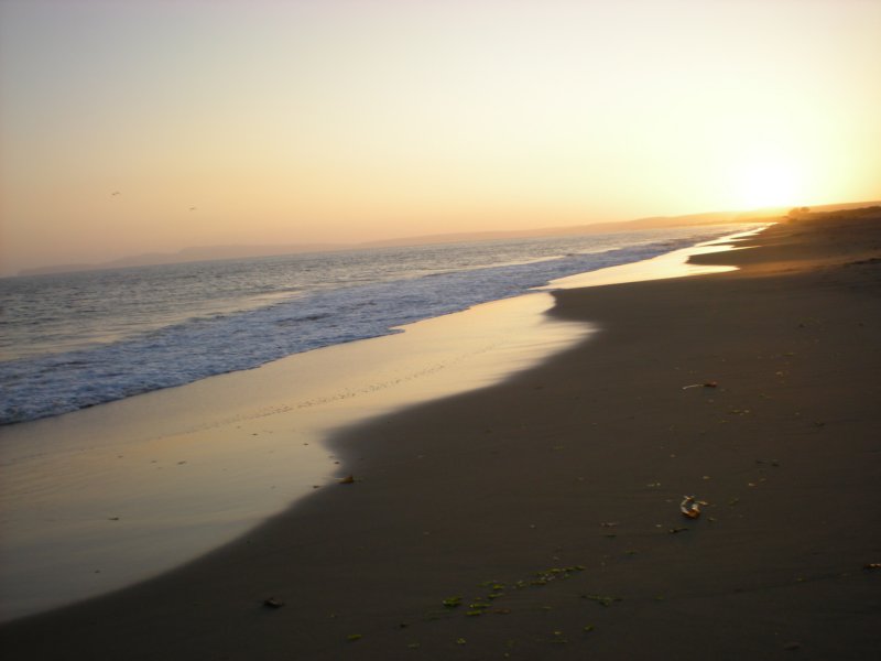 photo11.jpg
