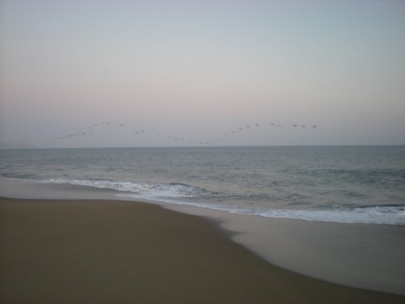 photo13.jpg