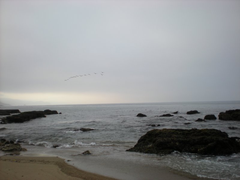 photo17.jpg