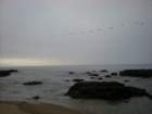 photo18_small.jpg