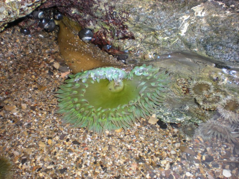 photo23.jpg