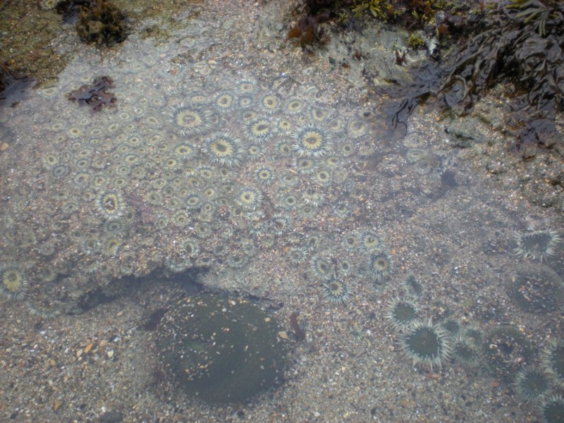 photo26.jpg