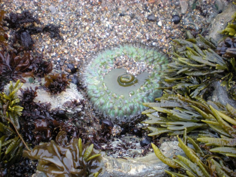 photo27.jpg