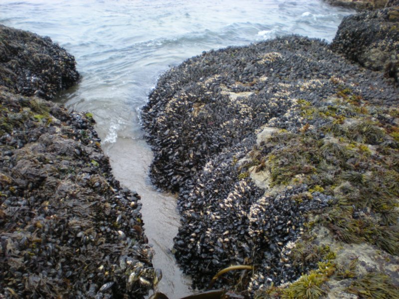 photo29.jpg