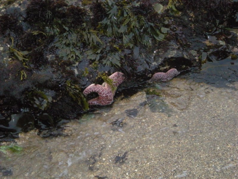 photo36.jpg