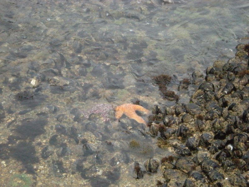 photo38.jpg