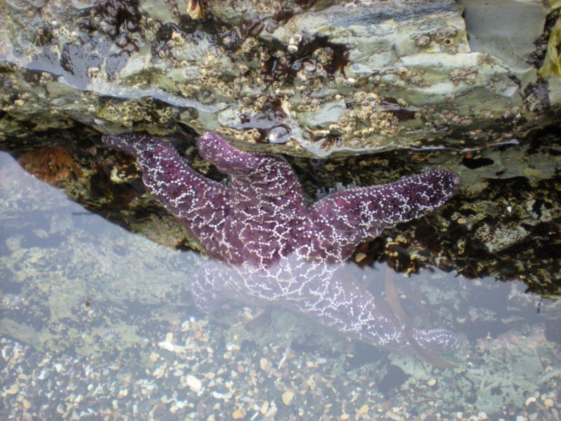 photo42.jpg
