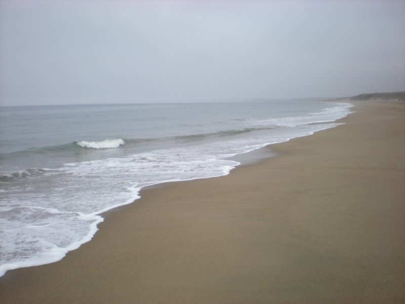photo48.jpg