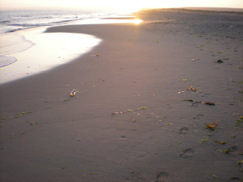 photo8.jpg