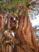 evolutionbasintrip506_small.jpg