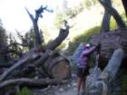 evolutionbasintrip532_small.jpg