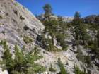 evolutionbasintrip536_small.jpg