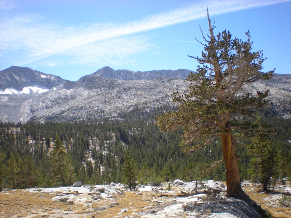 evolutionbasintrip569.jpg