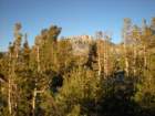 evolutionbasintrip595_small.jpg
