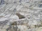 evolutionbasintrip285_small.jpg