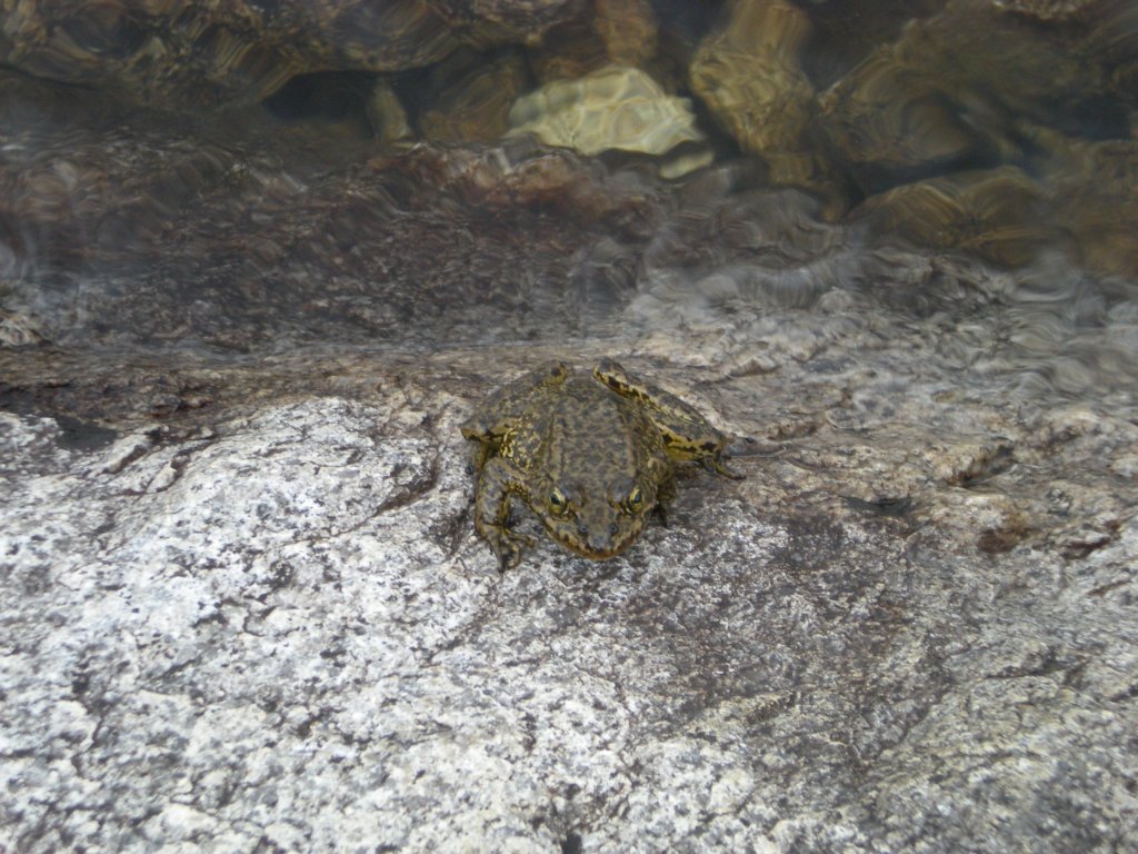 evolutionbasintrip299.jpg