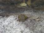 evolutionbasintrip299_small.jpg