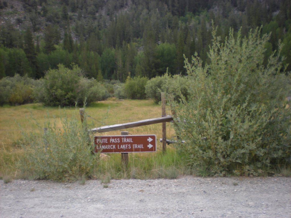 evolutionbasintrip003.jpg