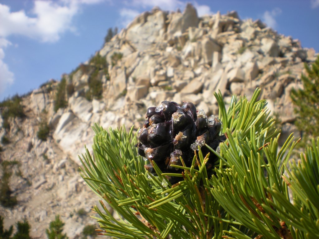 evolutionbasintrip082.jpg