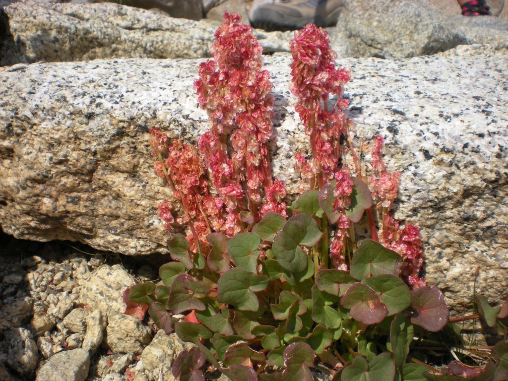 evolutionbasintrip092.jpg