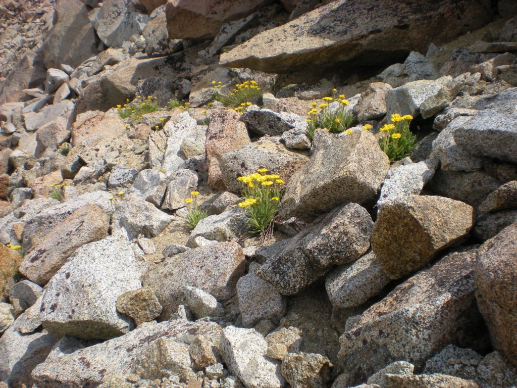 evolutionbasintrip122.jpg