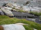 evolutionbasintrip179_small.jpg