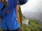 evolutionbasintrip193_small.jpg