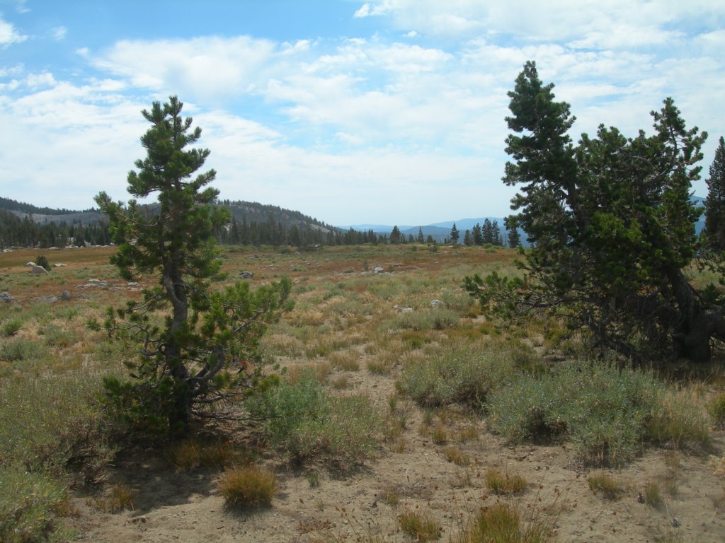 dscn9369.jpg