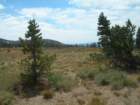 dscn9369_small.jpg