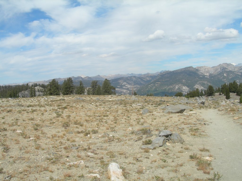 dscn9373.jpg