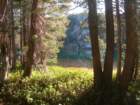 dscn9402_small.jpg