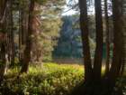 dscn9403_small.jpg