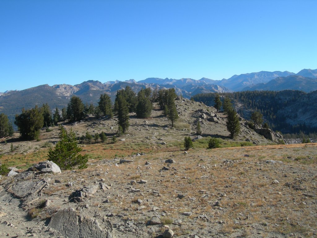 dscn9413.jpg