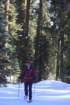 _mg_5604_small.jpg