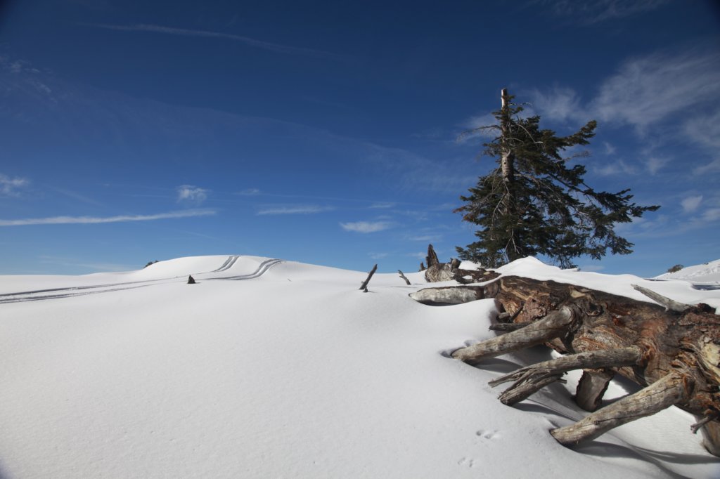 _mg_5620.jpg