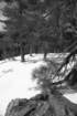 _mg_5641_small.jpg