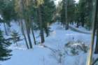 christmas016_small.jpg