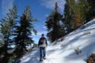 christmas040_small.jpg