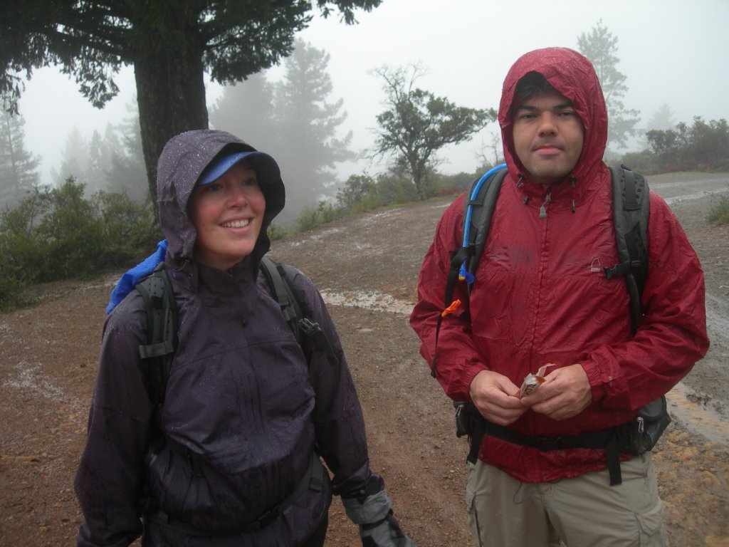mttam003.jpg