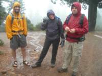 mttam005_small.jpg