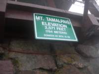 mttam013_small.jpg