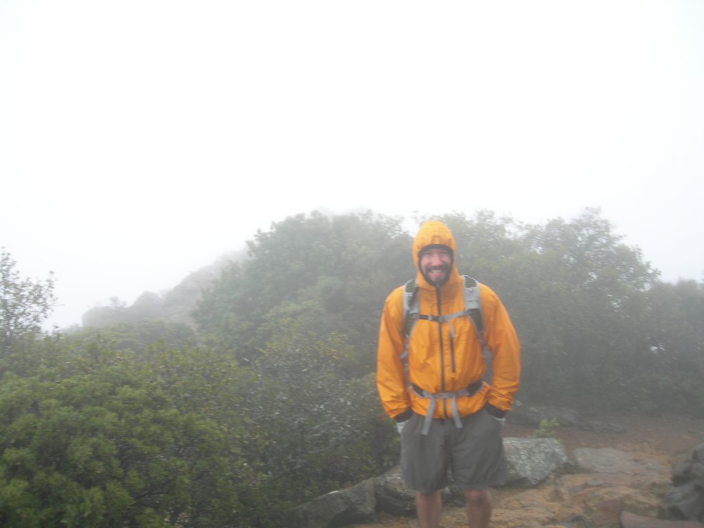 mttam014.jpg