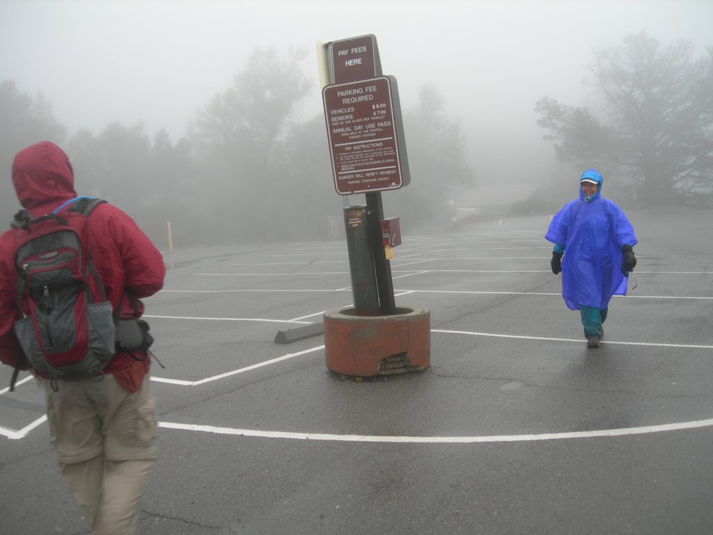 mttam017.jpg
