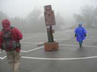 mttam017_small.jpg