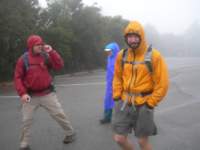 mttam019_small.jpg
