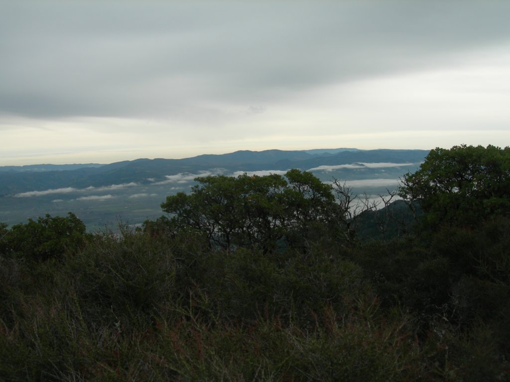 baldmountainsonoma16.jpg